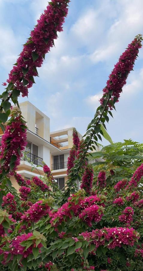Royal Meadows - Igatpuri Bungalow C エクステリア 写真