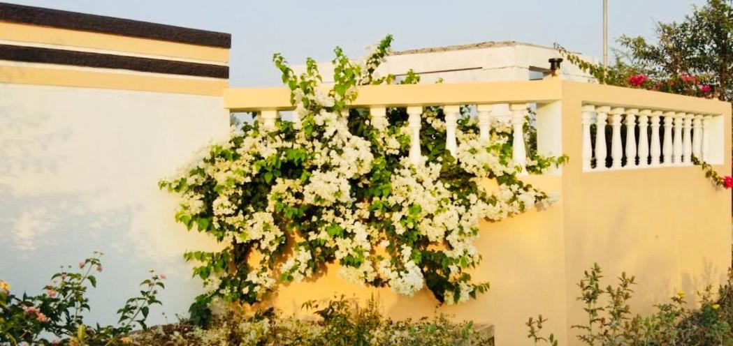 Royal Meadows - Igatpuri Bungalow C エクステリア 写真