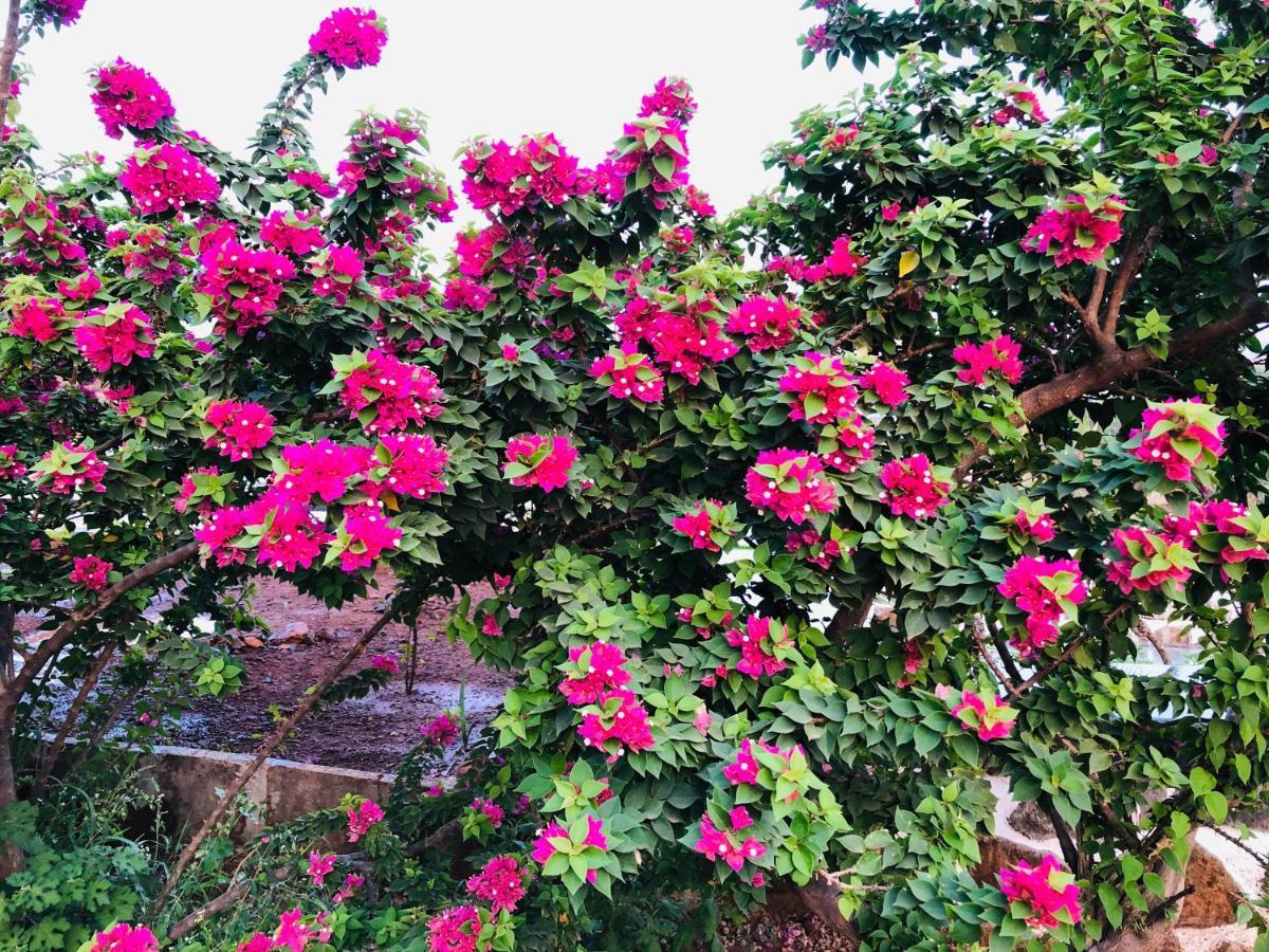 Royal Meadows - Igatpuri Bungalow C エクステリア 写真